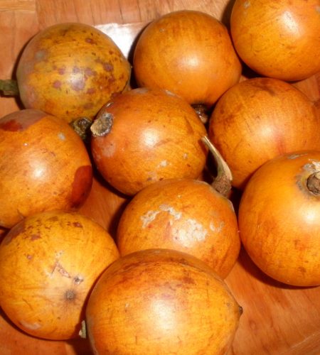 Agbalumo